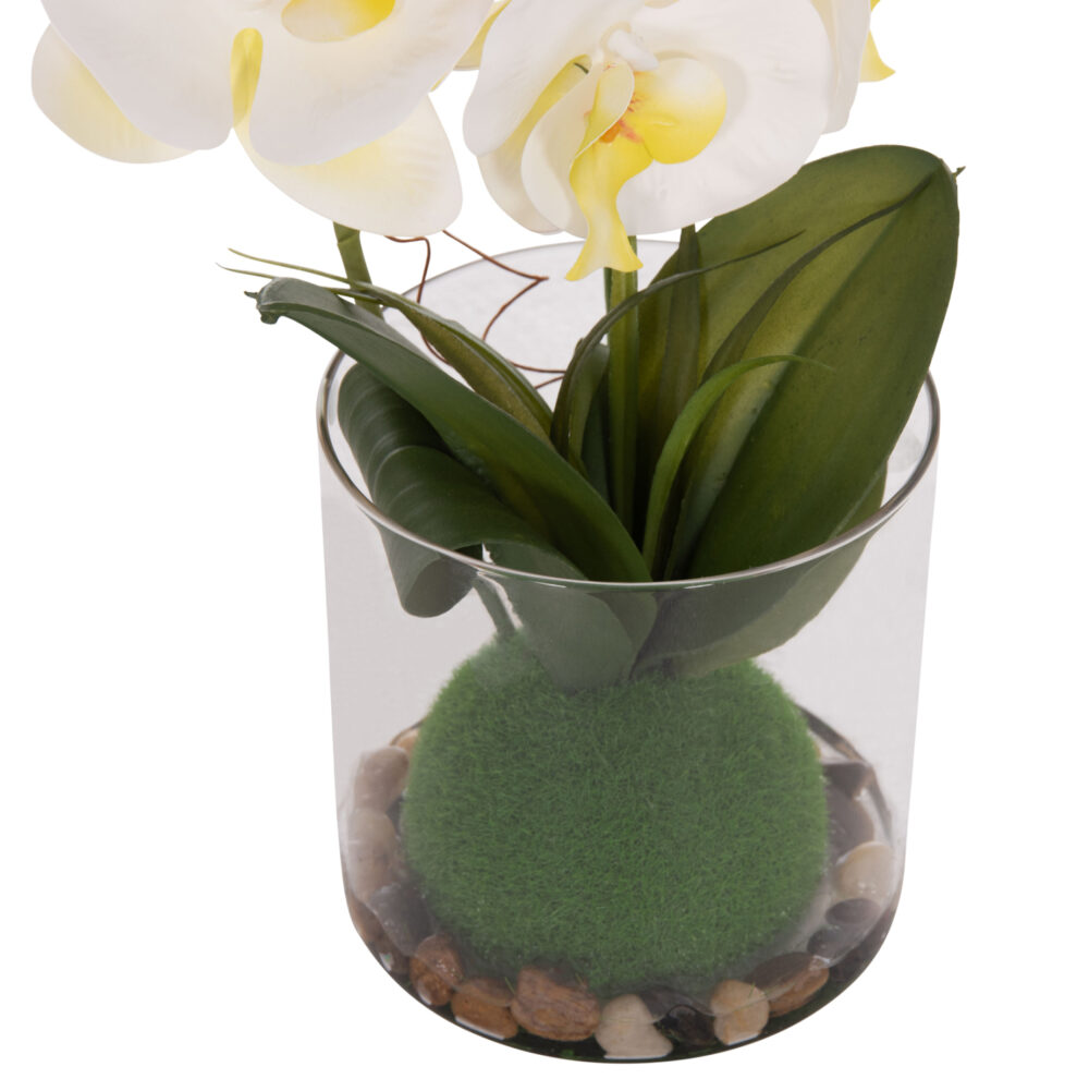 ΔΙΑΚΟΣΜΗΤΙΚΟ ΣΥΝΘΕΤΙΚΟ ΦΥΤΟ HM4738 ΛΟΥΛΟΥΔΙ PHALAENOPSIS ΣΕ ΓΥΑΛΙΝΟ ΒΑΖΟ 12x24x30Υεκ - Image 5