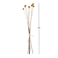 ΔΙΑΚΟΣΜΗΤΙΚΟ ΑΠΟΞΗΡΑΜΕΝΟ ΜΠΟΥΚΕΤΟ CRASPEDIA GLOBOSA HM7956 ΚΙΤΡΙΝΟ 63Υεκ. - Image 2