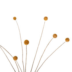 ΔΙΑΚΟΣΜΗΤΙΚΟ ΑΠΟΞΗΡΑΜΕΝΟ ΜΠΟΥΚΕΤΟ CRASPEDIA GLOBOSA HM7956 ΚΙΤΡΙΝΟ 63Υεκ. - Image 3